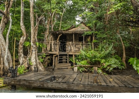 Dominica - old abandoned filming location from the Pirates of the Caribbean movie, Calypso the witch's house  Royalty-Free Stock Photo #2421059191