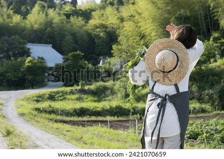 Image of a farm woman harvesting vegetables Rear view with an old house in the background Royalty-Free Stock Photo #2421070659