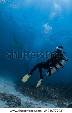 Scuba Diving with Oceanic, Reef, Black Manta Ray in Nusa Penida Bali, Indonesia Royalty-Free Stock Photo #2421077903