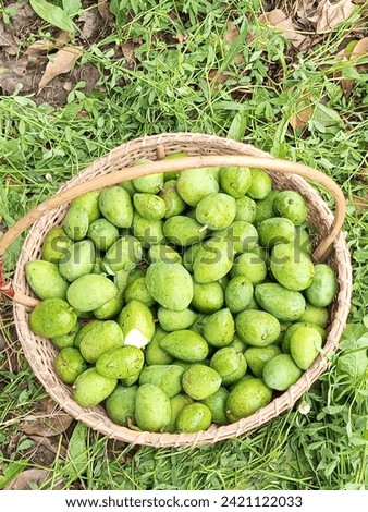 This is a pic of mangos in basket.thats looking so beautiful.in this pic we feel the natur.