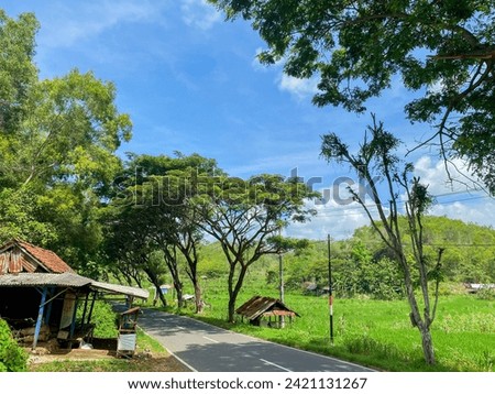 Beautiful rural views. Simple house on the side of the road with lots of trees and rice fields.