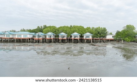 Picture of a fishing village with creamy white walls Contrasting with the bright blue roof It stretches out in a long line in a mangrove forest. that is beautiful