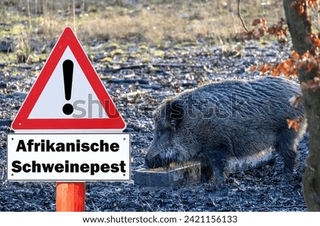 Sign with the inscription "Achtung Afrikanische Schweinepest" (Attention African swine fever) on a fence to a farm in Germany