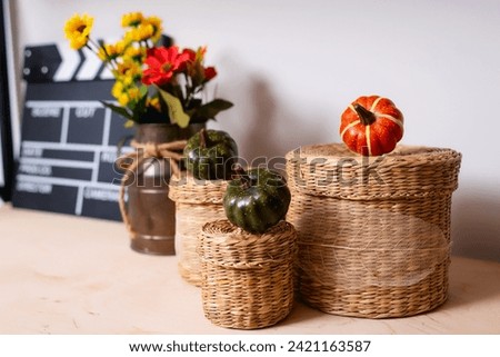 colored pumpkins in the decor of the photo studio. ready-made decor for autumn photo shoots. painted pumpkins in the room