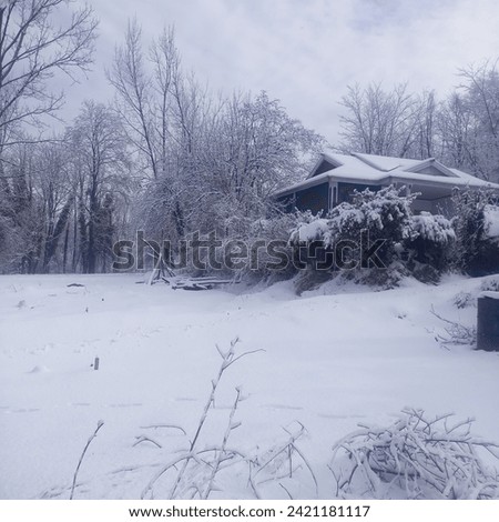 Heavy snowfall background stock picture 