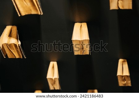 books attached to the ceiling of the room. the illusion of books falling from the ceiling. open books with a black cover