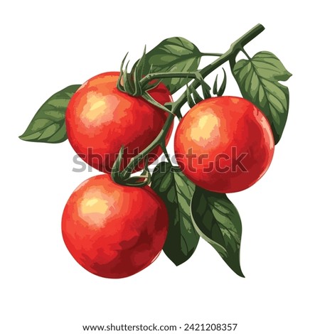fresh tomato with green leaves hand drawn illustration isolated on white background