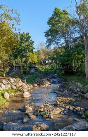 Serene Tranquility: Dry Season Morning by the River with Intact Greenery in Chiang Mai Royalty-Free Stock Photo #2421227117