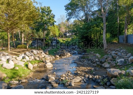 Serene Tranquility: Dry Season Morning by the River with Intact Greenery in Chiang Mai Royalty-Free Stock Photo #2421227119