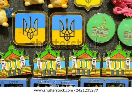 magnetic souvenirs. patriotic symbol of Ukraine. houses on the refrigerator. translation: Lvov