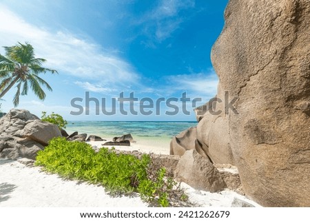 Palm trees and coral reef in a tropical beach. Anse Source d'Argent, Seychelles
