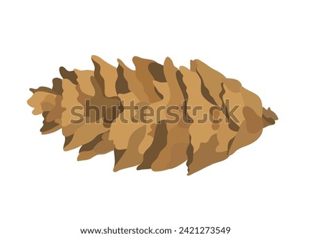 Cartoon open fir cone, vector illustration isolated on White background.