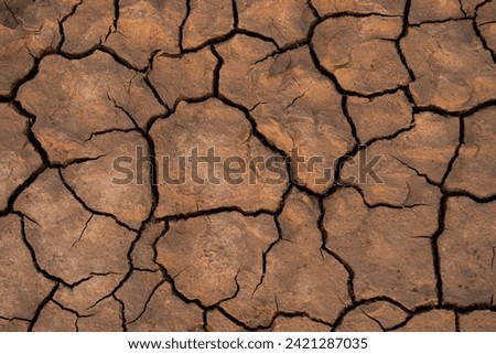 barren earth in Agriculture closeup picture 