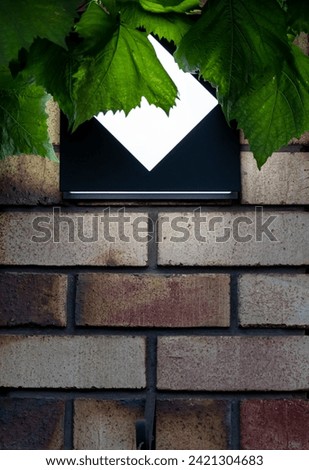 square street lamp made of metal with white glass on a red brick wall under vine green leaves
