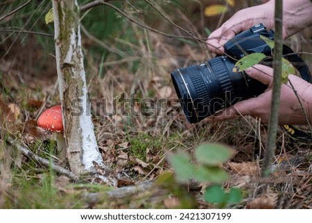 taking pictures of a mushroom