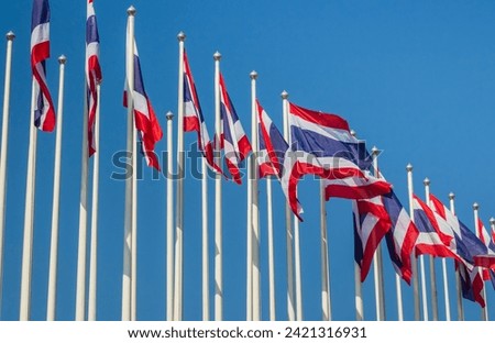 Row of thailand flags on flagpoles with blue sky in the background