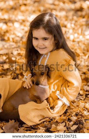 Cute little brunette girl walks in autumn with a dachshund dog in the park. High quality photo