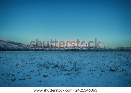 View of the mountains in winter season. High quality photo