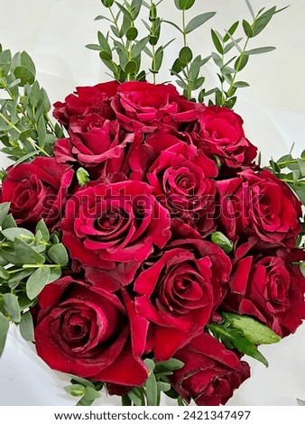 Red roses, with their lush petals and intense crimson hue, epitomize love's timeless expression. These iconic blooms convey a depth of emotion that transcends words, symbolizing passion and romance