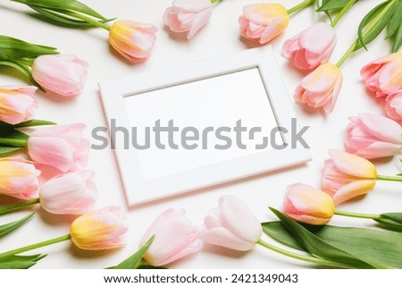 Light pink and yellow blooming tulips flowers row and white picture frame over white background. Spring holiday banner, happy easter card, mothers day concept. Flat lay, top view, copy space.