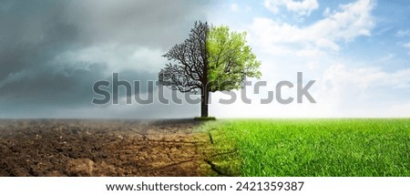 Concept of climate changing. Half dead and alive tree outdoors, banner design