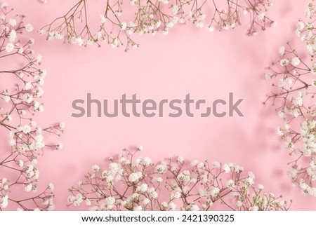 Small white gypsophila flowers on pastel pink background. Happy Women's Day, Wedding, Mother's Day, Easter, Valentine's Day. Flat lay, top view, copy space Royalty-Free Stock Photo #2421390325
