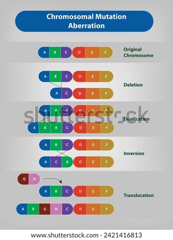 Chromosomal mutation, "Genetic anomalies, known as abberration are modifications that impact entire chromosomes and complete genetic sequences instead of singular nucleotides." Vector Royalty-Free Stock Photo #2421416813