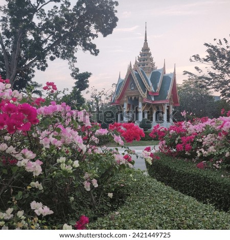logy, Nature, Asia, Thailand, Ayutthaya city, Ayutthaya,Thai Ayutthaya,Siam Royalty-Free Stock Photo #2421449725