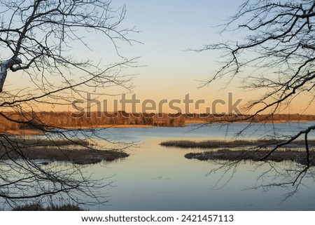 scenic view of a lake during golden hour. beautiful sunset over the water in a usa natural reserve in winter time