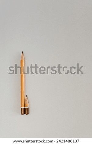 large and small pencil on a light background. free space for text. photo above. creative photo