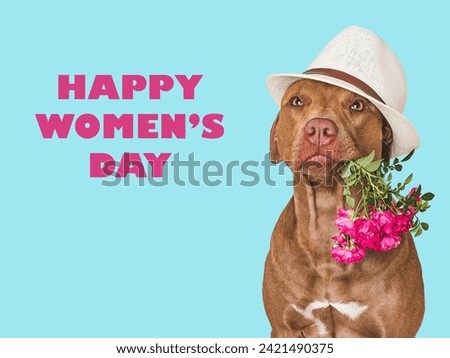 Happy Women's Day. Lovable, pretty brown dog and a bouquet of flowers. Closeup, indoors, studio shot. Congratulations for family, loved ones, relatives, friends and colleagues. Pet care concept