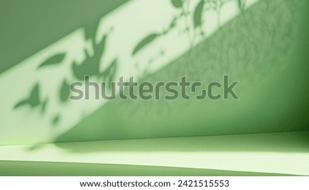 Minimalistic Abstract Soft Green Background with Subtle Window Shadows and Plant Accents for Product Display