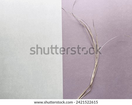Abstraction with dried grass. Can be used as a background and for creating new creative works.