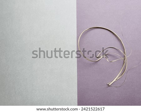 Dry grass poster. Background two-color. Dried pampas grass with twisted stems on a lilac background. Can be used as a background or to create new creative works.