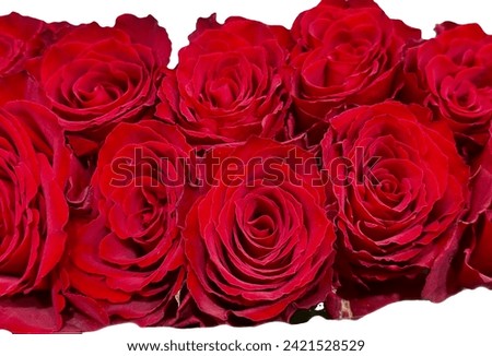 Stock of artificial mixed Red Rose beautiful flowers off floral view love symbols