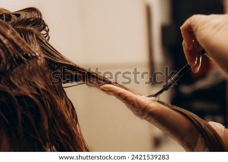 hairdresser coloring hair in studio. High quality photo Royalty-Free Stock Photo #2421539283