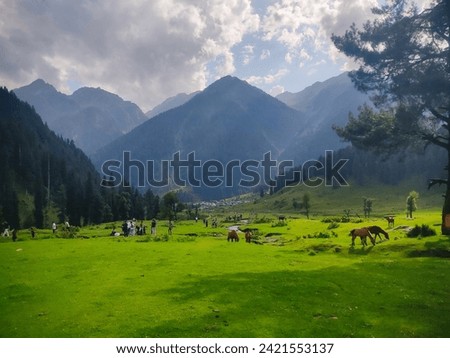 Aru Valley, Pahalgam, Jammu and Kashmir, India