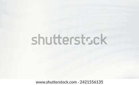 Grey background for product presentation with shadow and light from windows. Abstract white studio background for product presentation. Empty room with shadows . 