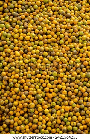Freshly picked oranges in a juice factory - stock photo