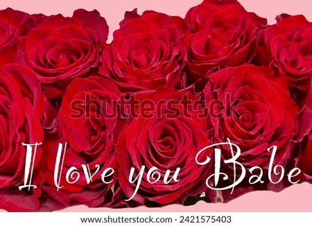 Stock of artificial mixed colors Red Roses dark pink  color beautiful Roses floral view love symbols valentines special