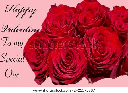 Stock of artificial mixed colors Red Roses dark pink  color beautiful Roses floral view love symbols valentines special