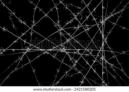Old security barbed wire isolated on black background. Sharp military security fence. Closeup image. crossed Lines of barbed wire on black background. concentration camp Royalty-Free Stock Photo #2421580205