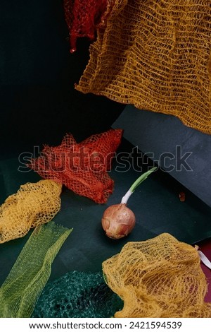 Still life with sprouted onion, hanging net of onions, and blue pitcher on tiled counter.