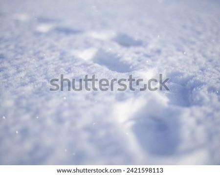 Small steps on the snow