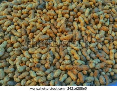 A beautiful peanut Picture in winter peanut is very famous dry fruits every one want to eat this. 