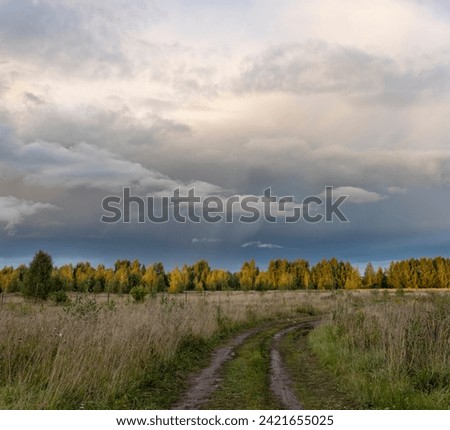 Evening summer landscape, dramatic sky over a field. road through the meadow