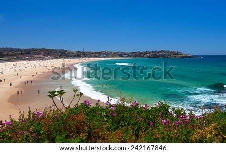 Amazing day on Bondi Beach in Sydney, Australia