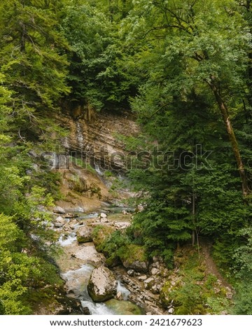 river along rock in peaceful nature