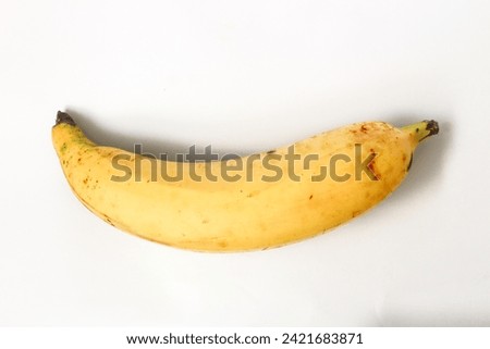 Seedling size 30-70cm A rare type of banana that is starting to become extinct. The fruit length can reach 30-50cm. This banana does not have a heart. So, the fruit comes out straight away