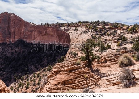 United States. Utah. Canyonlands National Park. Landscape from Mesa Arch.  Royalty-Free Stock Photo #2421686571